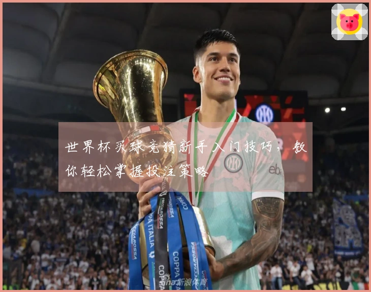 世界杯买球竞猜新手入门技巧，教你轻松掌握投注策略