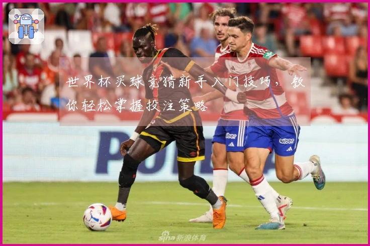 世界杯买球竞猜新手入门技巧，教你轻松掌握投注策略