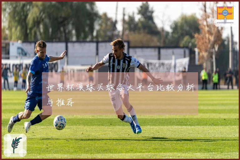 世界杯滚球买球各大平台比较分析与推荐